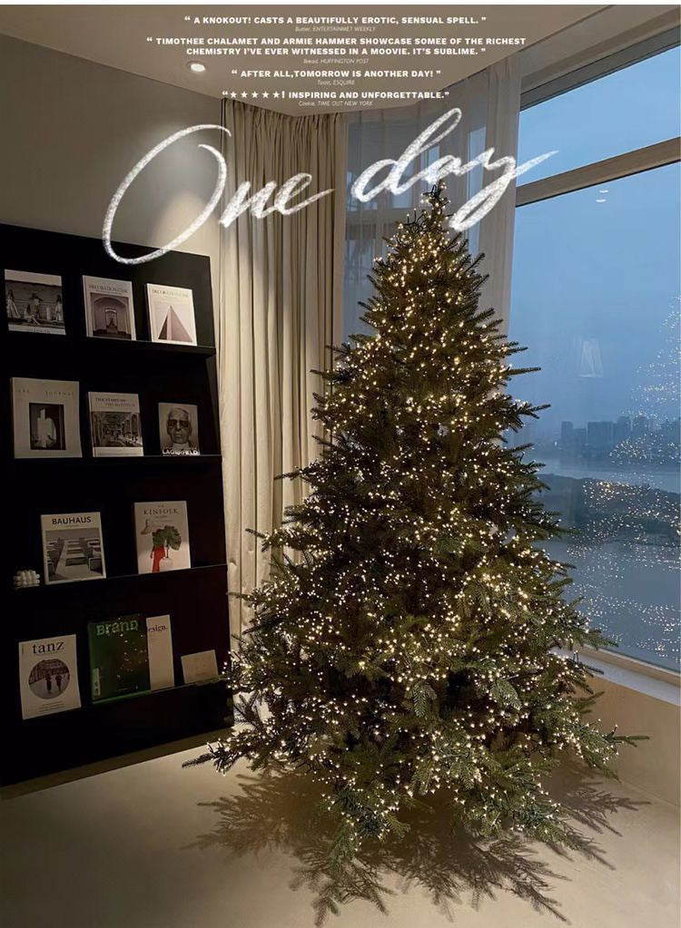 Christmas Tree With LED Lights